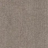 Grey cod. A3410